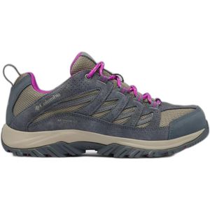 Columbia, Schoenen, Dames, Grijs, 41 EU, Leer, Grijze Leren Sneakers met Rubberen Zool