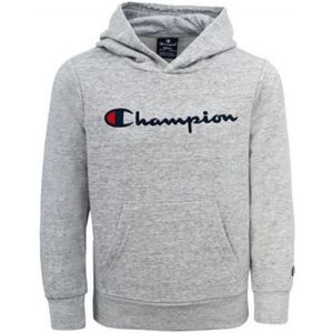 Champion, Sweatshirts & Hoodies, Heren, Grijs, XL, Junior Geborduurde Script Logo Hoodie