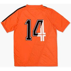 Cruyff, Tops, Heren, Oranje, S, Polyester, Oranje Euro T-shirt Heren