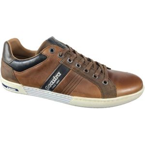 Gaastra, Conner Sneakers Bruin, Heren, Maat:42 EU