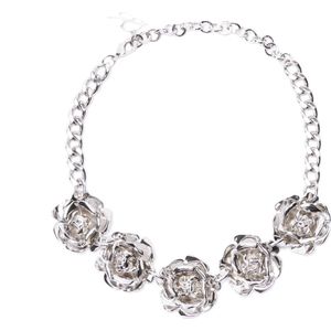 Blumarine, Rose Zama Choker Grijs, Dames, Maat:ONE Size