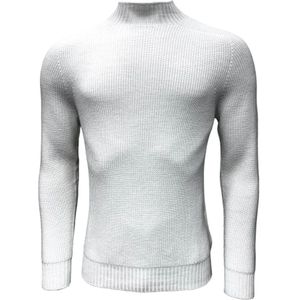 Gran Sasso, Truien, Heren, Wit, L, Wol, Rainwool Turtleneck Sweater Wit