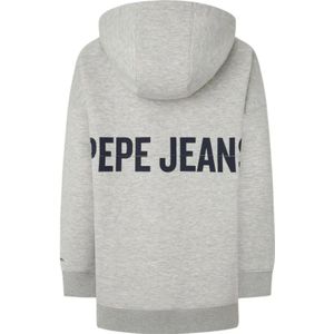 Pepe Jeans, Sweatshirts & Hoodies, Dames, Grijs, S, Katoen, Casual en Modern Fergie Hoodie