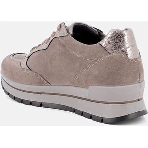 Igi&Co, Schoenen, Dames, Bruin, 37 EU, Grijze Sneakers met Gore-Tex Voering