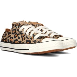 Converse, Schoenen, Dames, Zwart, 36 1/2 EU, Luipaardprint Lage Top Sneakers