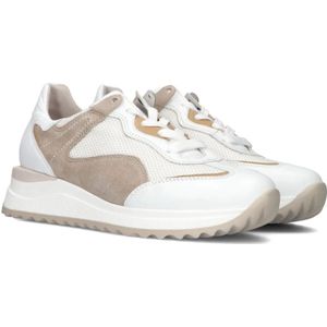 Gabor, Schoenen, Dames, Veelkleurig, 40 EU, Suède, Lage Sneakers Taupe Suède