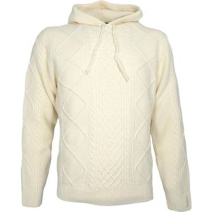 Paul & Shark, Sweatshirts & Hoodies, Heren, Beige, XL, Wol, Hooded wol nylon trui ivoor