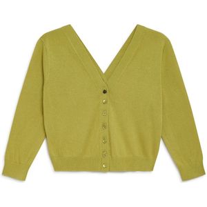 Maliparmi, Cardigans Groen, Dames, Maat:M