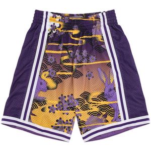 Mitchell & Ness, Training Shorts Paars, Heren, Maat:L