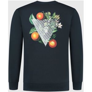 Pure Path, Sweatshirts & Hoodies, Heren, Blauw, L, Katoen, Oranje Tak Sweater