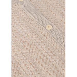 Neo Noir, Truien, Dames, Beige, M, Boho Crochet Gebreide Vest