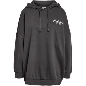 Noisy May, Sweatshirts & Hoodies, Dames, Grijs, L, Berg Hoodie in Grijs