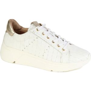 Roberto d'Angelo, schoenen sneakers Wit Wit, Dames, Maat:40 EU