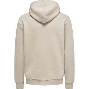 ONLY & SONS Hoodie ONSCERES Grijs