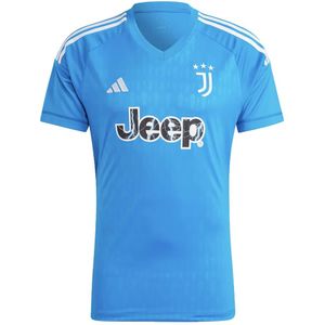 Adidas, Sport, Heren, Blauw, M, T-Shirt Juve Gk Jsy