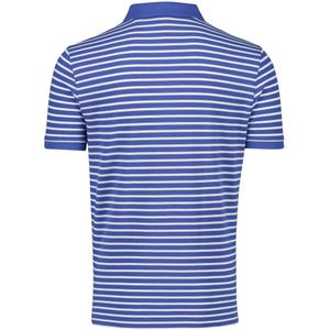 Gant, Tops, Heren, Blauw, M, Katoen, Blauw Gestreept Poloshirt