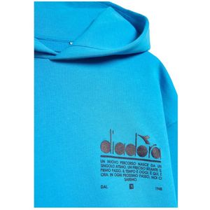 Diadora, Sweatshirts & Hoodies, Heren, Blauw, M, Hoodie