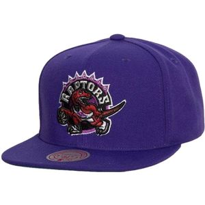 Mitchell & Ness, Accessoires, Heren, Paars, M, Paarse Raptors Team Ground 2.0 Pet