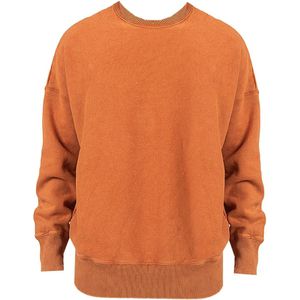 Champion, Sweatshirts & Hoodies, Heren, Oranje, L, Katoen, Sweatshirt