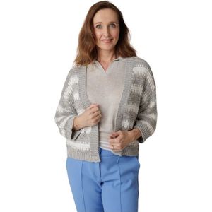 Peserico, Truien, Dames, Veelkleurig, 3Xs, Polyester, Gestreepte Paillet Cardigan