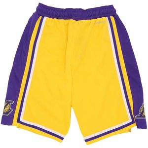 Nike, Sport, Heren, Veelkleurig, L, Polyester, NBA Icon Edition Basketbalshorts