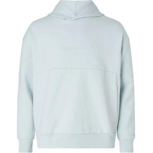 Calvin Klein, Sweatshirts & Hoodies, Heren, Blauw, S, Katoen, Lichtblauwe Herenhoodie met Kruisende Capuchon en Merklogo