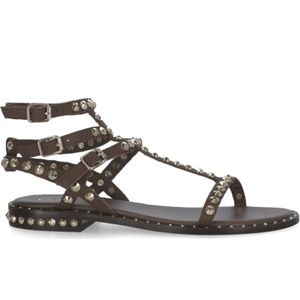 Ash, Schoenen, Dames, Bruin, 36 EU, Bruine leren sandalen met gouden studs