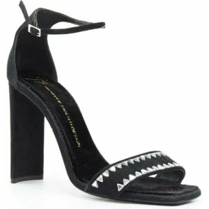 Giuseppe Zanotti Pre-owned, Pre-owned, Dames, Zwart, 39 EU, Leer, Tweedehands leren hakken