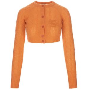 Etro, Oranje Kasjmier Kabel Cardigan Oranje, Dames, Maat:2XS