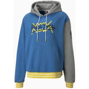 Puma, Sweatshirts & Hoodies, Heren, Blauw, M, Zwarte 5`s Ster Hoodie