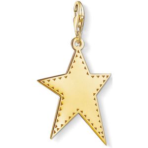 Thomas Sabo, Accessoires, Dames, Geel, ONE Size, Gouden Ster Charm Hanger
