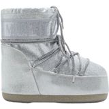 Moon Boot, Winter Boots Grijs, Dames, Maat:36 EU