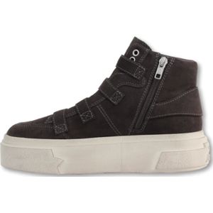 Ash, Schoenen, Dames, Zwart, 36 EU, Rebel gesp sneakers