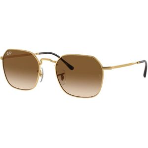 Ray-Ban, Accessoires, Dames, Geel, 55 MM, Rb 3694 Zonnebril