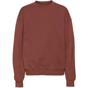 Colorful Standard, Sweatshirts & Hoodies, Heren, Bruin, M, Sweatshirt