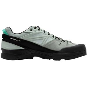 Salomon, Schoenen, Heren, Groen, 41 1/2 EU, X-Alp LTR Wandelschoenen Zwart/Groen