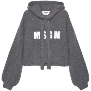 Msgm, Sweatshirts & Hoodies, Dames, Grijs, S, Zwarte Sweater met Capuchon en Logo