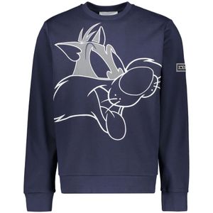 Iceberg, Sweatshirts & Hoodies, Heren, Blauw, M, Katoen, Geborduurde katoenen sweatshirt