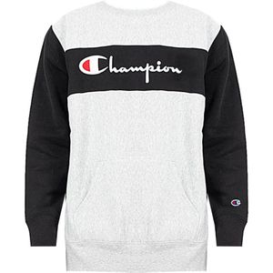 Champion, Sweatshirt Grijs, Heren, Maat:M