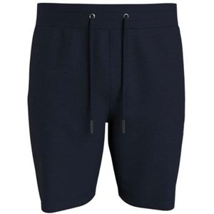 Tommy Hilfiger, Korte broeken, Heren, Blauw, L, Katoen, Stijlvolle Casual Shorts voor Mannen
