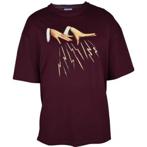 Lanvin, Bordeaux Katoenen T-shirt met Bedrukt Beeld Rood, Heren, Maat:L