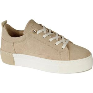 Roberto d'Angelo, schoenen sneakers Beige, Dames, Maat:37 EU