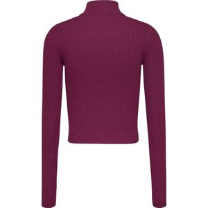 Tommy Jeans, Truien, Dames, Rood, S, Bordeaux Hoge Hals Rits Trui