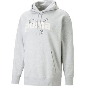 Puma, Sweatshirts & Hoodies, Heren, Grijs, S, Katoen, Team Grafische Hoodie