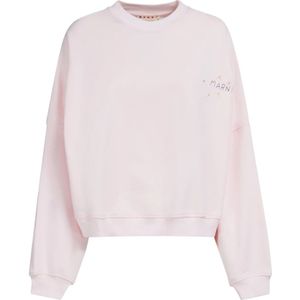Marni, Sweatshirts & Hoodies, Dames, Roze, S, jersey sweatshirt met drakenprint