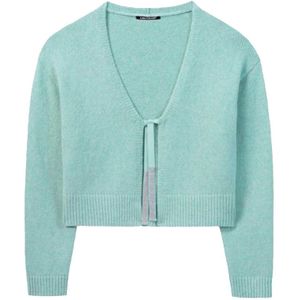 Luisa Cerano, Luisa Cerano Cardigan Blauw, Dames, Maat:L