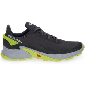 Salomon, Waterdichte Gore-Tex Sneakers voor Outdoor Avonturen Veelkleurig, Heren, Maat:42 EU