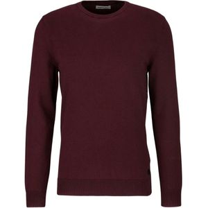 Replay, Truien, Heren, Rood, L, Mesh Sweater