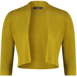 vera mont, Truien, Dames, Groen, 2Xl, Veelzijdige Gebreide Bolero