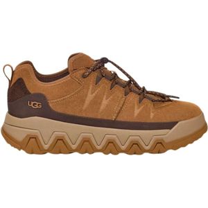 Ugg, Schoenen, Heren, Bruin, 43 EU, Lage Sneakers in Cognac